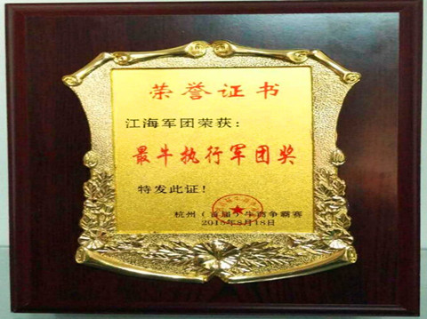江海軍團最牛執(zhí)行軍團獎