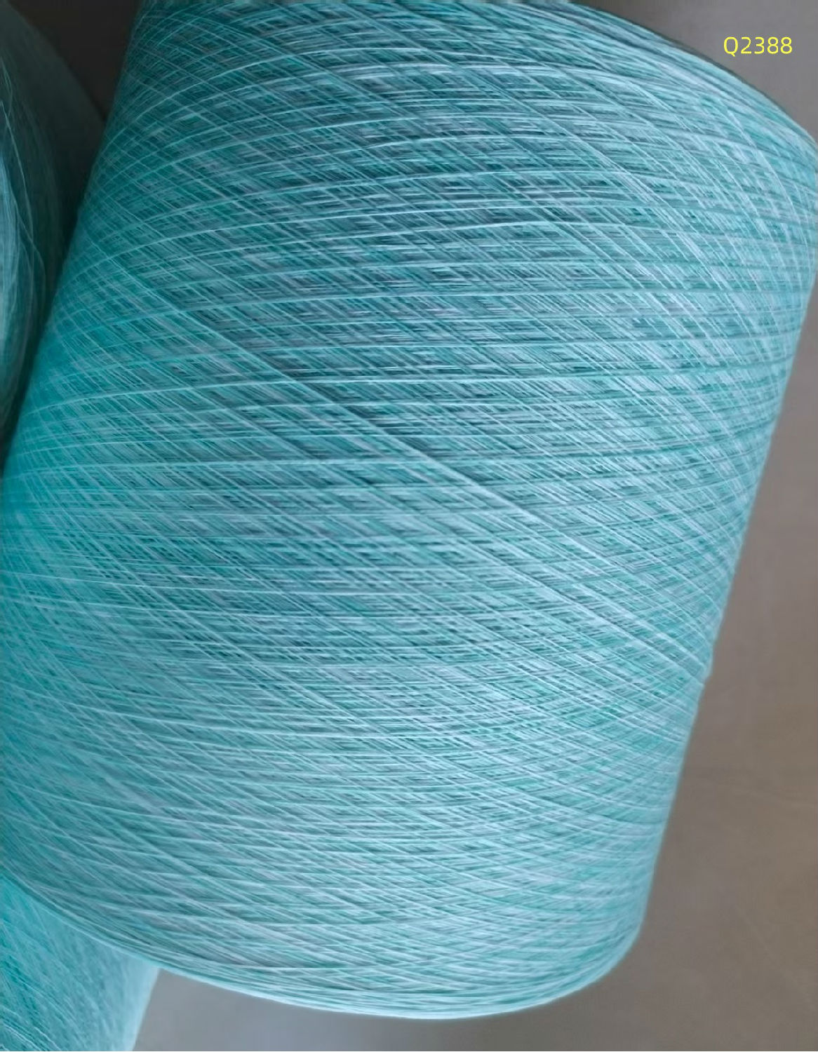 150D/48F段染紗Q2388