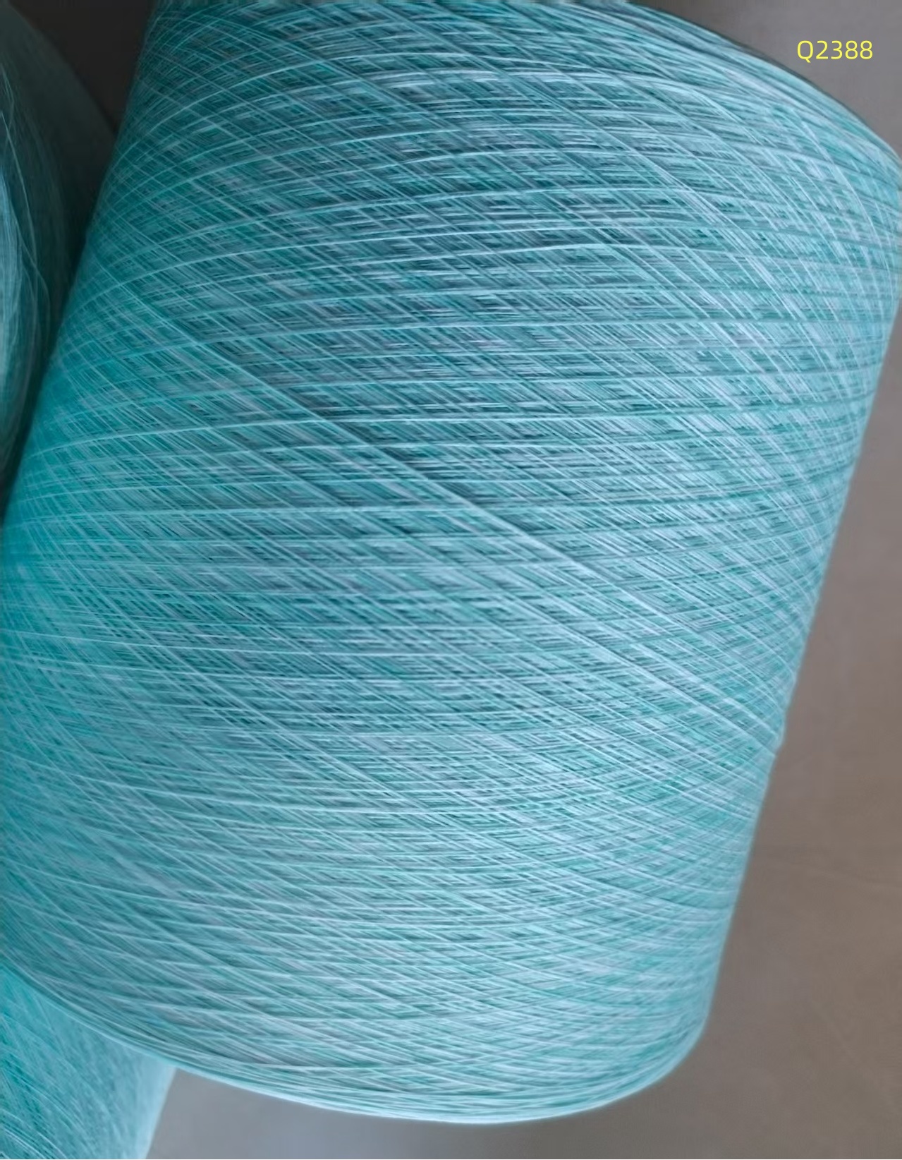 150D/48F段染紗Q2388 150D/48F段染紗Q2388